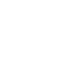 Ico profesionales